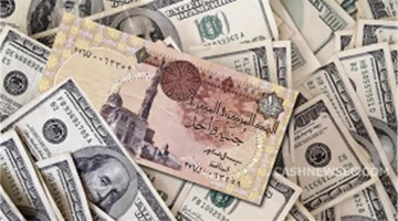 تحديث مهم.. سعر الدولار يتغير أمام الجنيه في البنوك المصرية مساءً